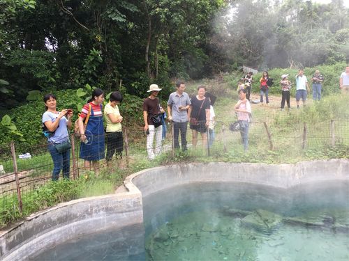 专家活动系列简报:海南大学博士团队到保亭县开展温泉旅游策划,水务